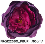 FRG122560_PBUR