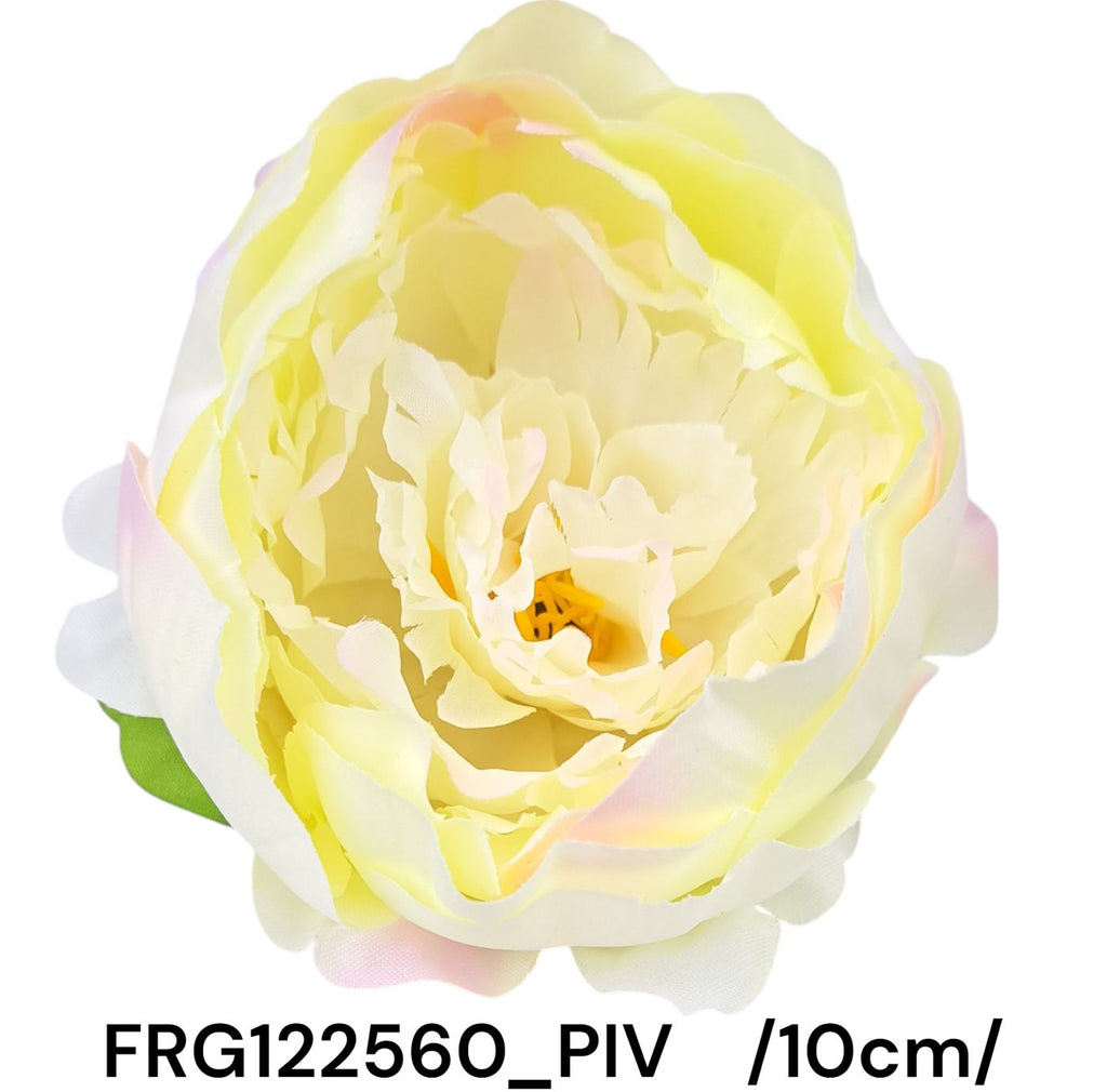 FRG122560_PIV