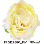 FRG122560_PIV