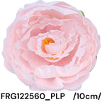 FRG122560_PLP