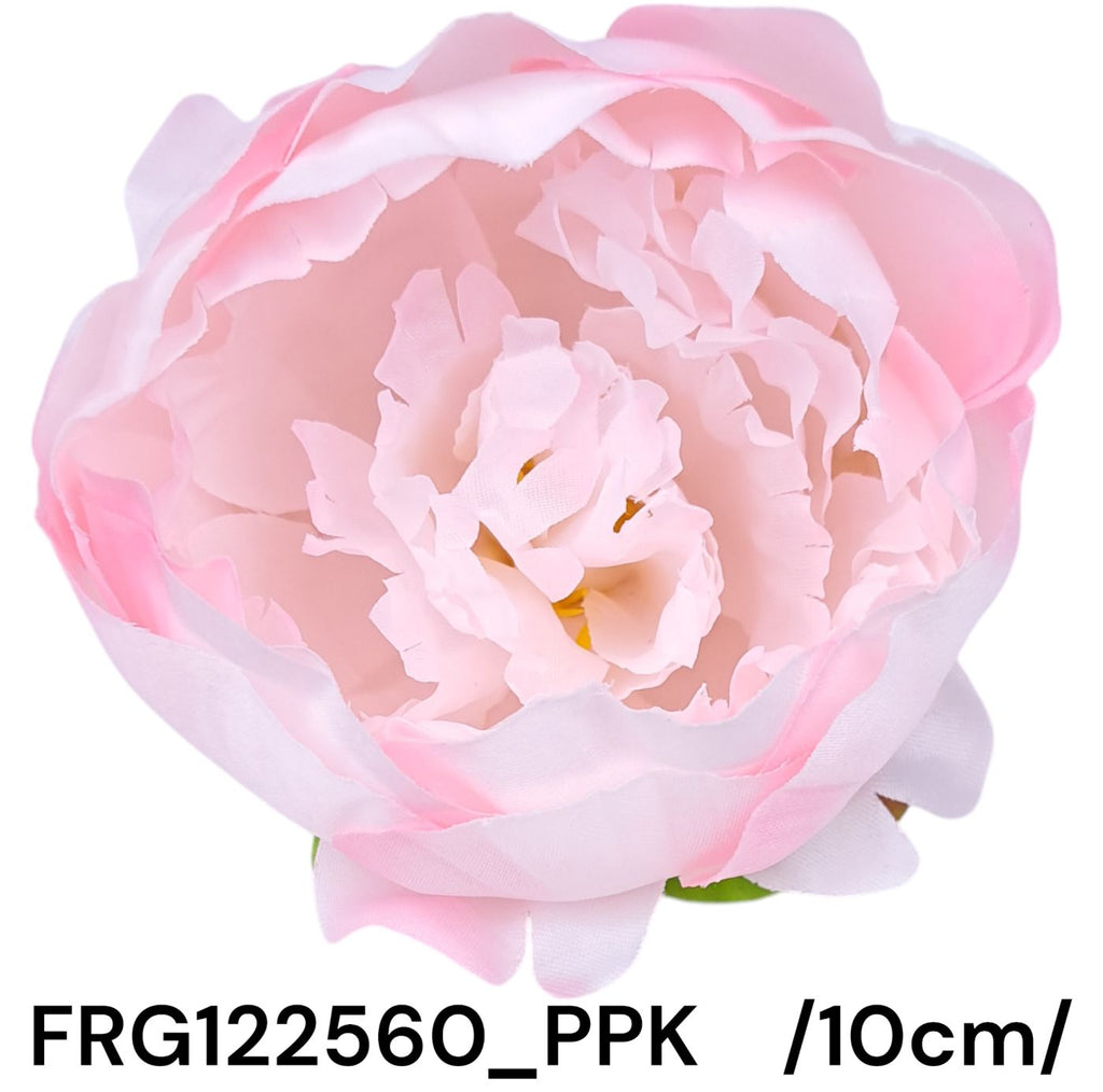 FRG122560_PPK