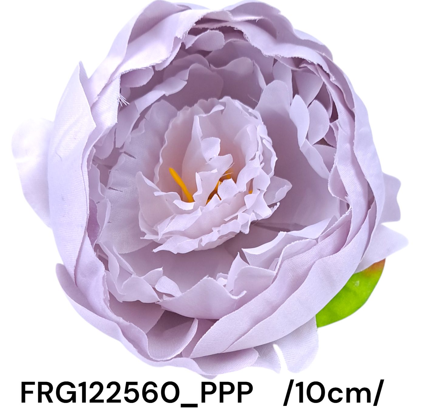 FRG122560_PPP