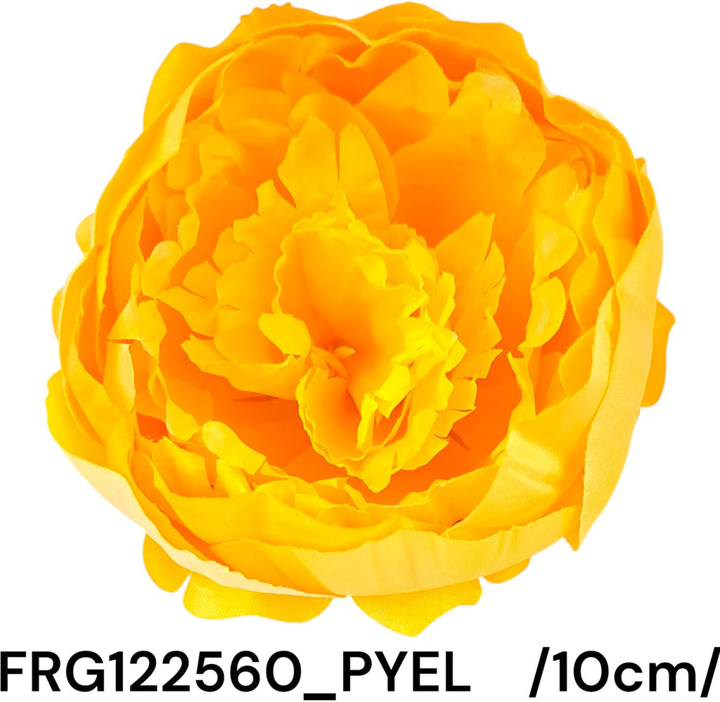 FRG122560_PYEL