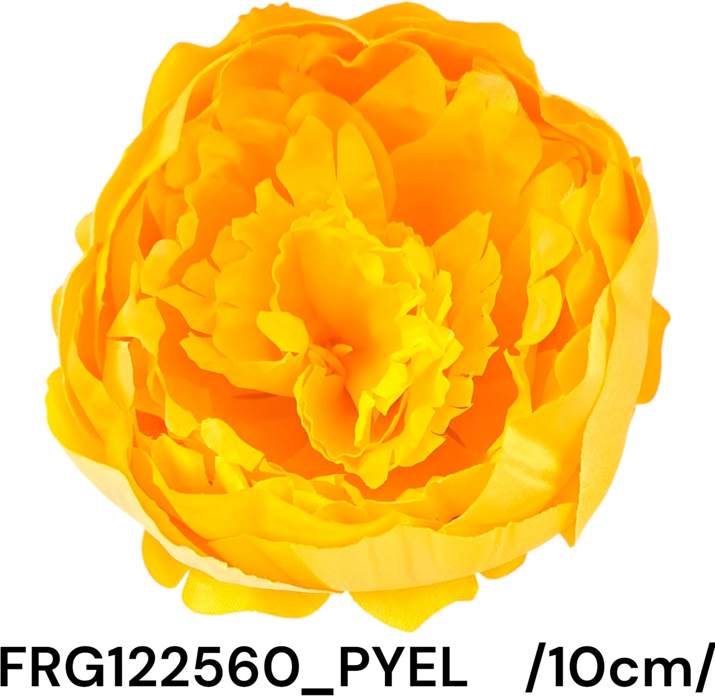 FRG122560_PYEL