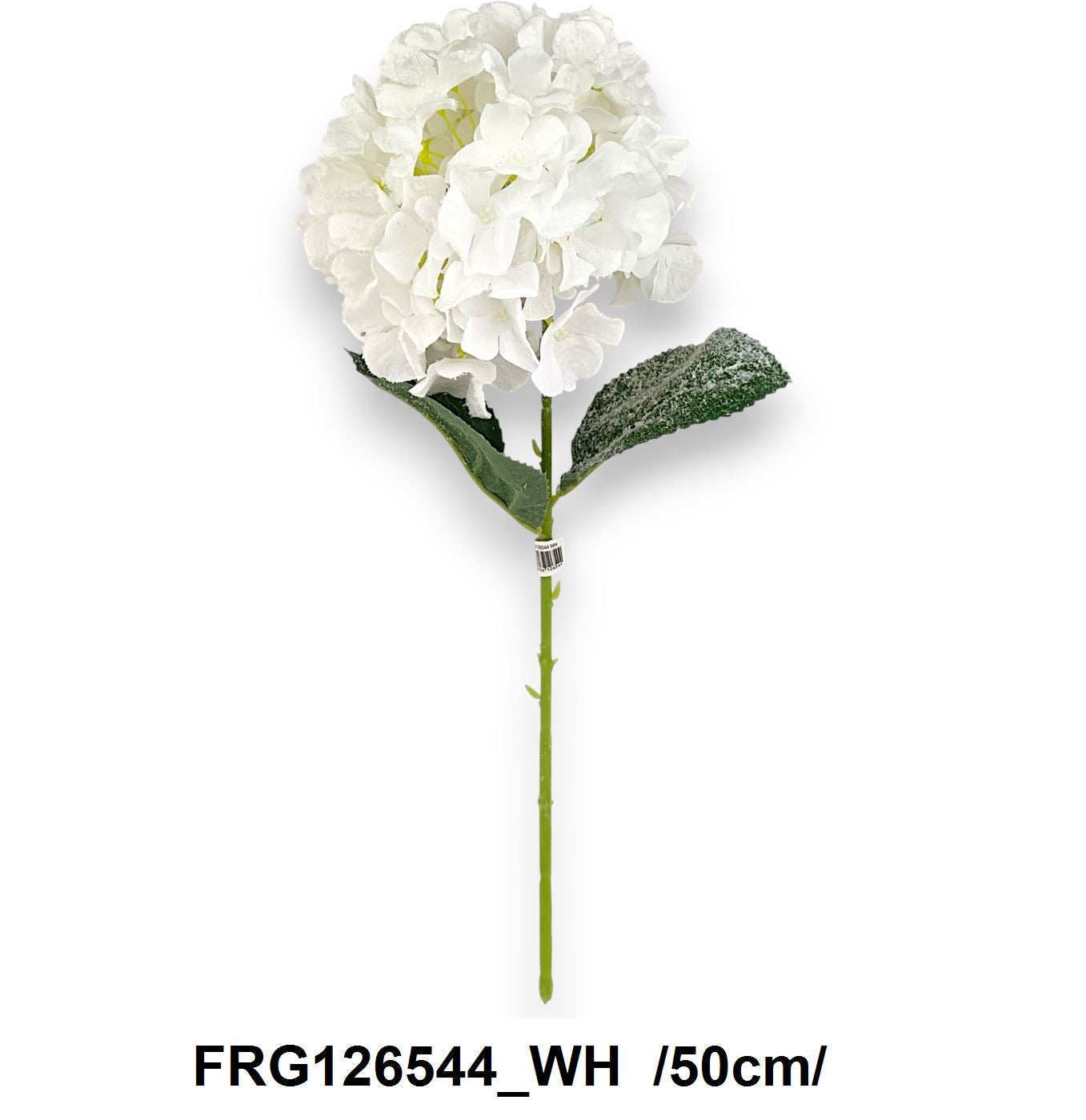 Havas szálas hortenzia /50cm/ Fő kép