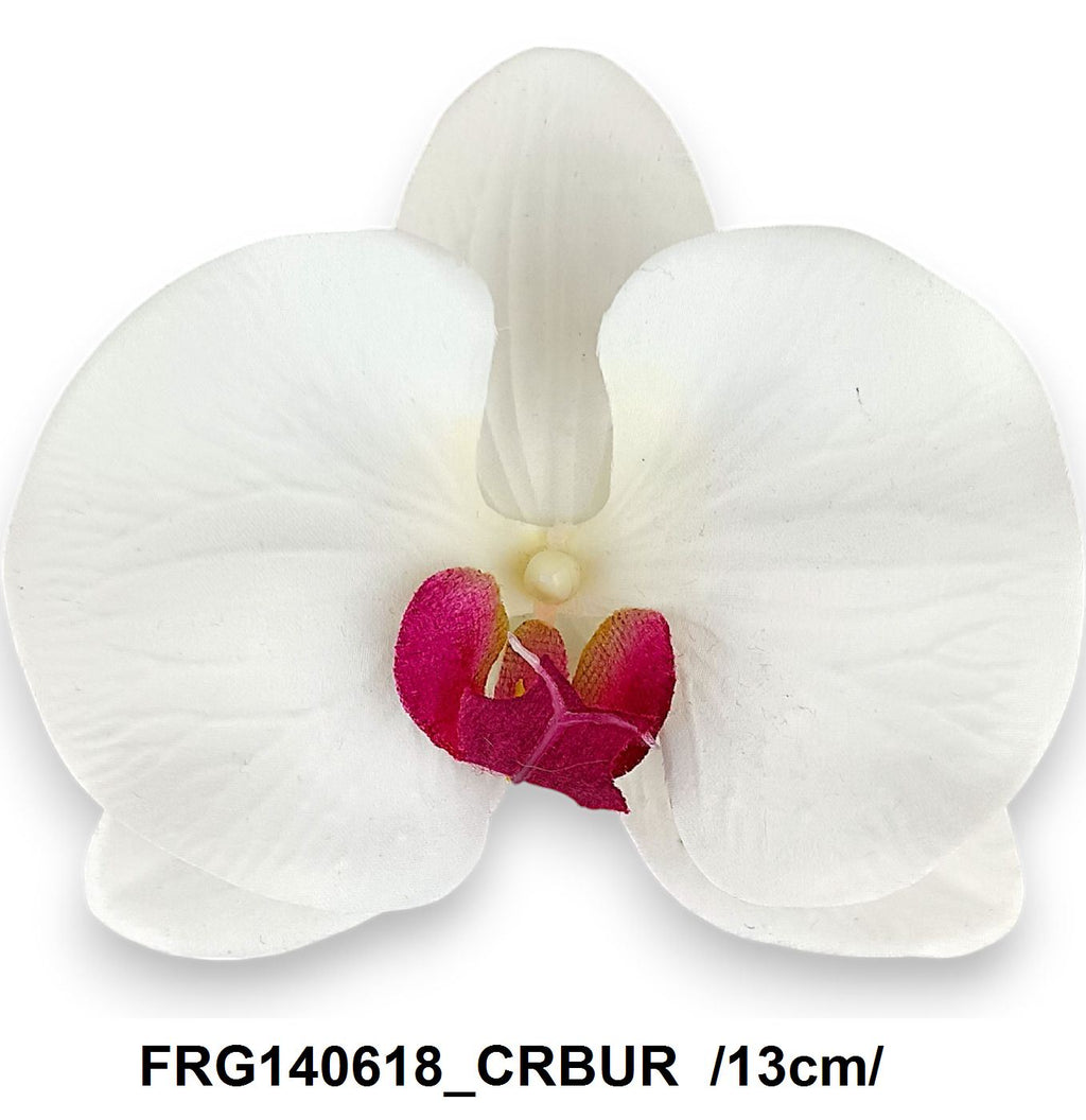 FRG140618_CRBUR