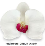 FRG140618_CRBUR