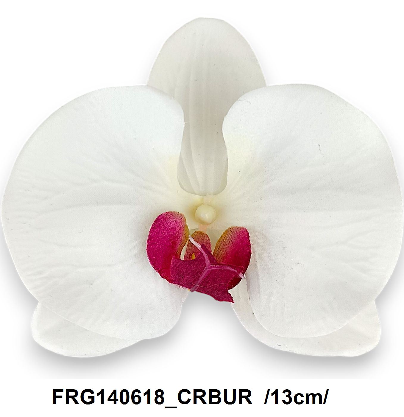 FRG140618_CRBUR