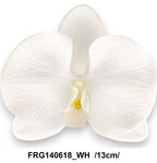 FRG140618_WH