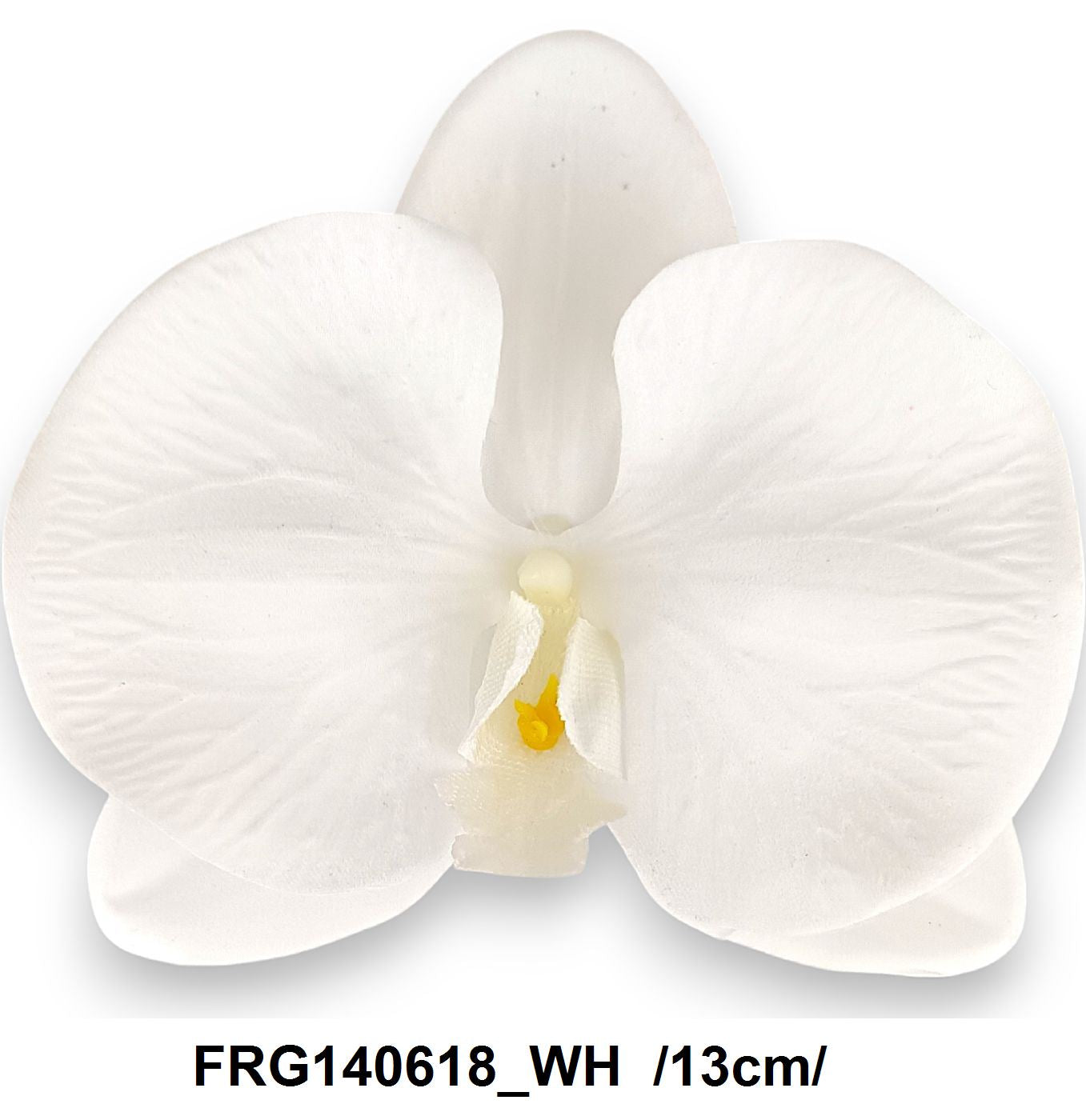 FRG140618_WH