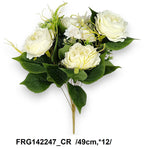 FRG142247_CR