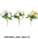 FRG146511_CRA