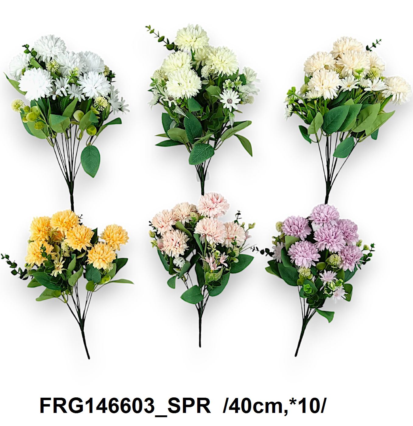 FRG146603_SPR