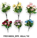 FRG146634_SPR