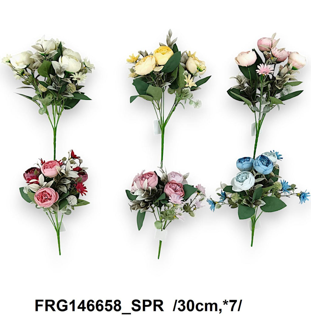 FRG146658_SPR
