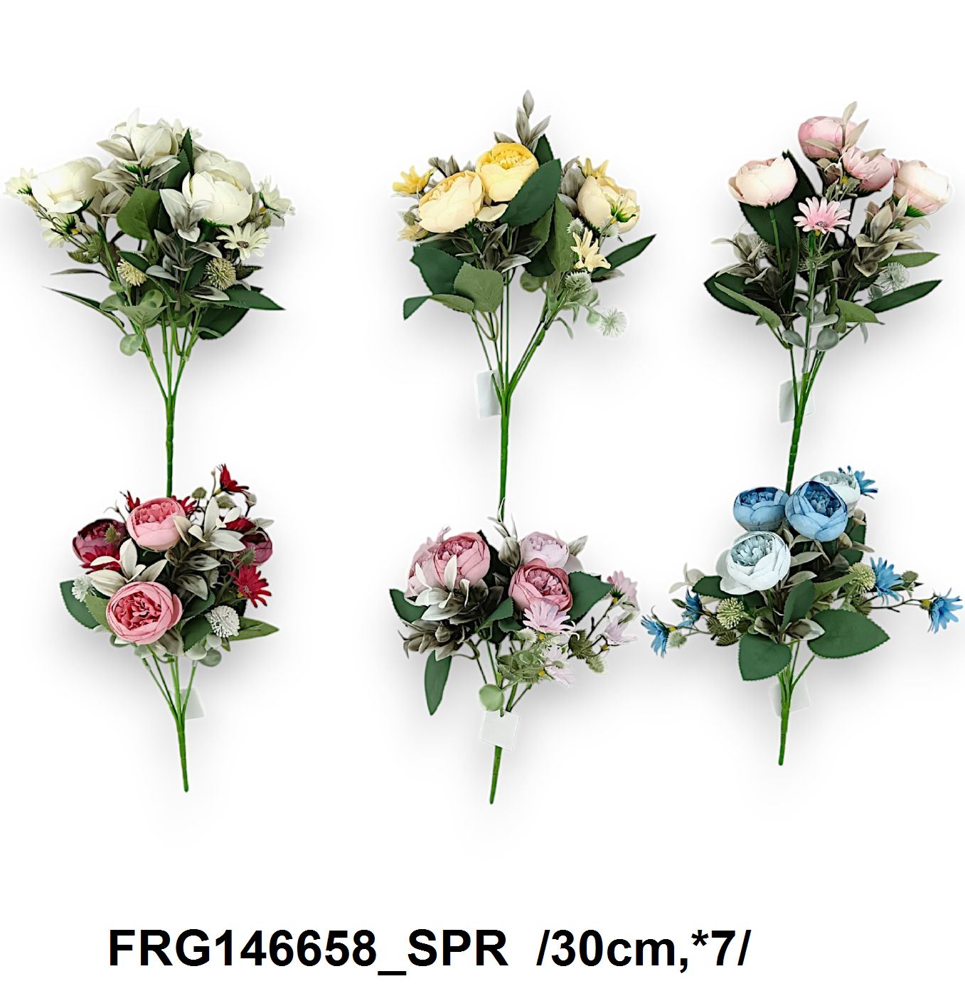FRG146658_SPR