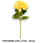 FRG155858_STK_LTYEL