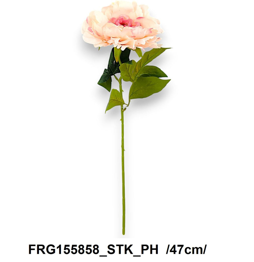 FRG155858_STK_PH