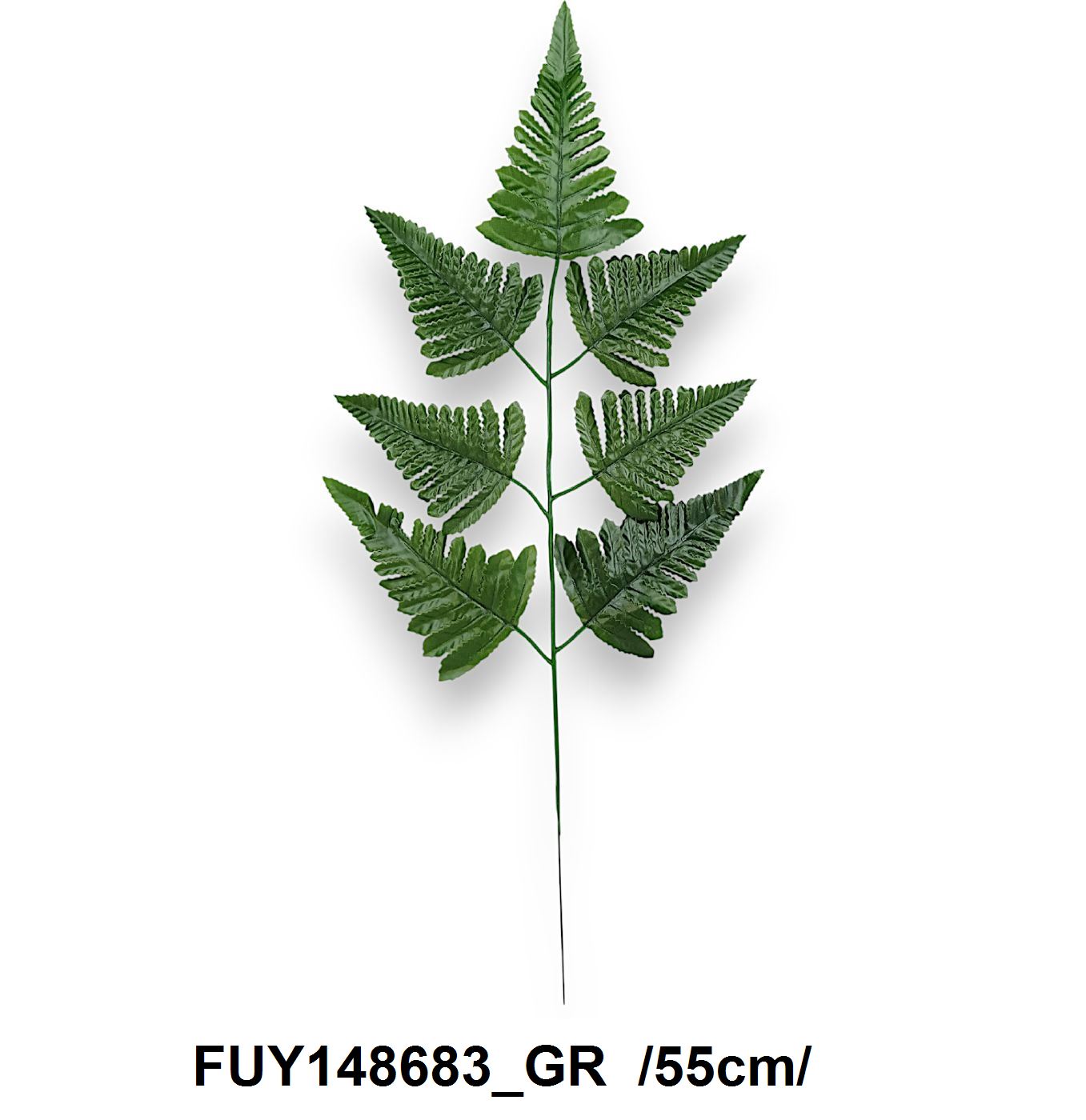 Páfránylevél nyomtatott erezettel /55cm/ Másodlagos kép