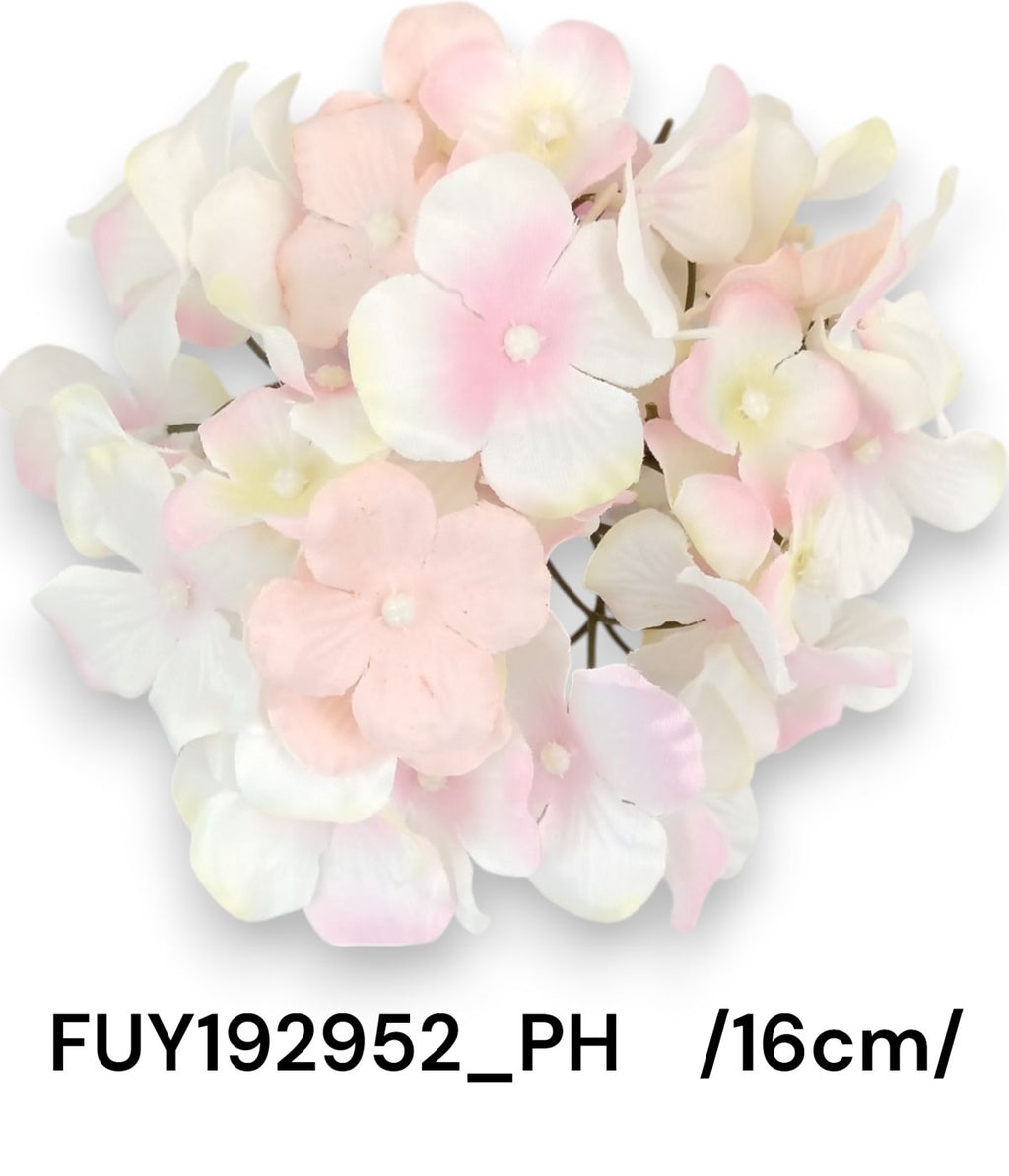 FUY192952_PH