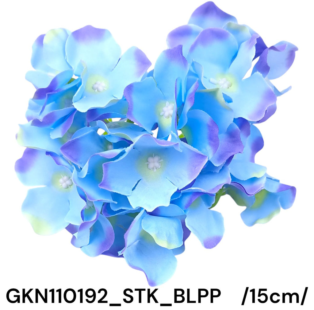 GKN110192_STK_BLPP