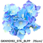 GKN110192_STK_BLPP