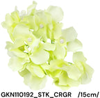 GKN110192_STK_CRGR