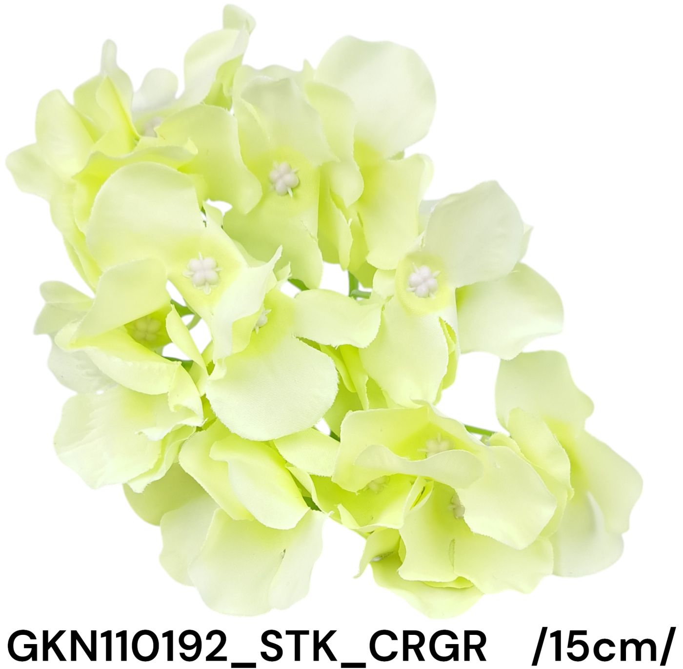 GKN110192_STK_CRGR