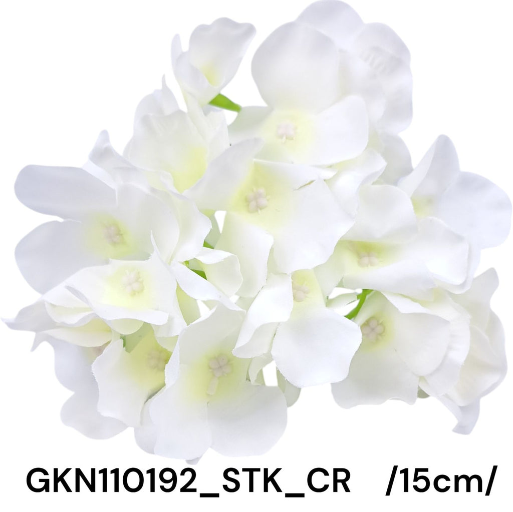 GKN110192_STK_CR