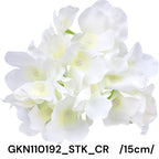 GKN110192_STK_CR