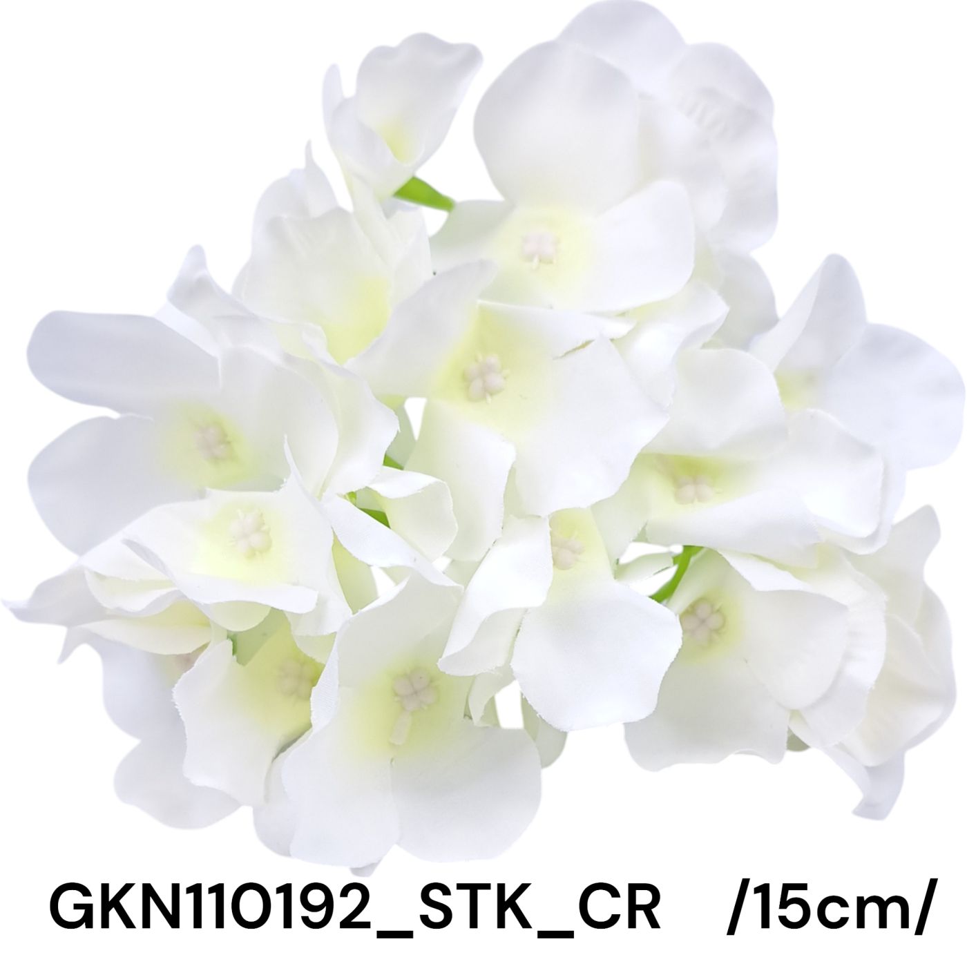 GKN110192_STK_CR
