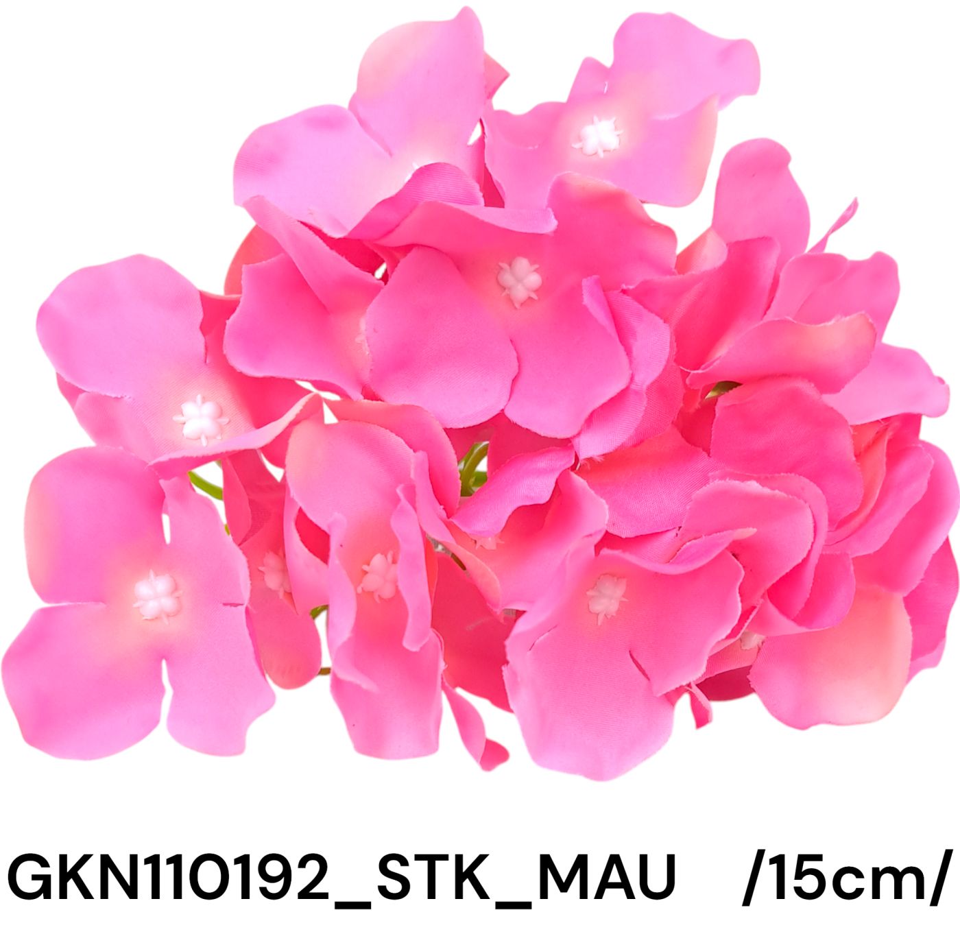 GKN110192_STK_MAU