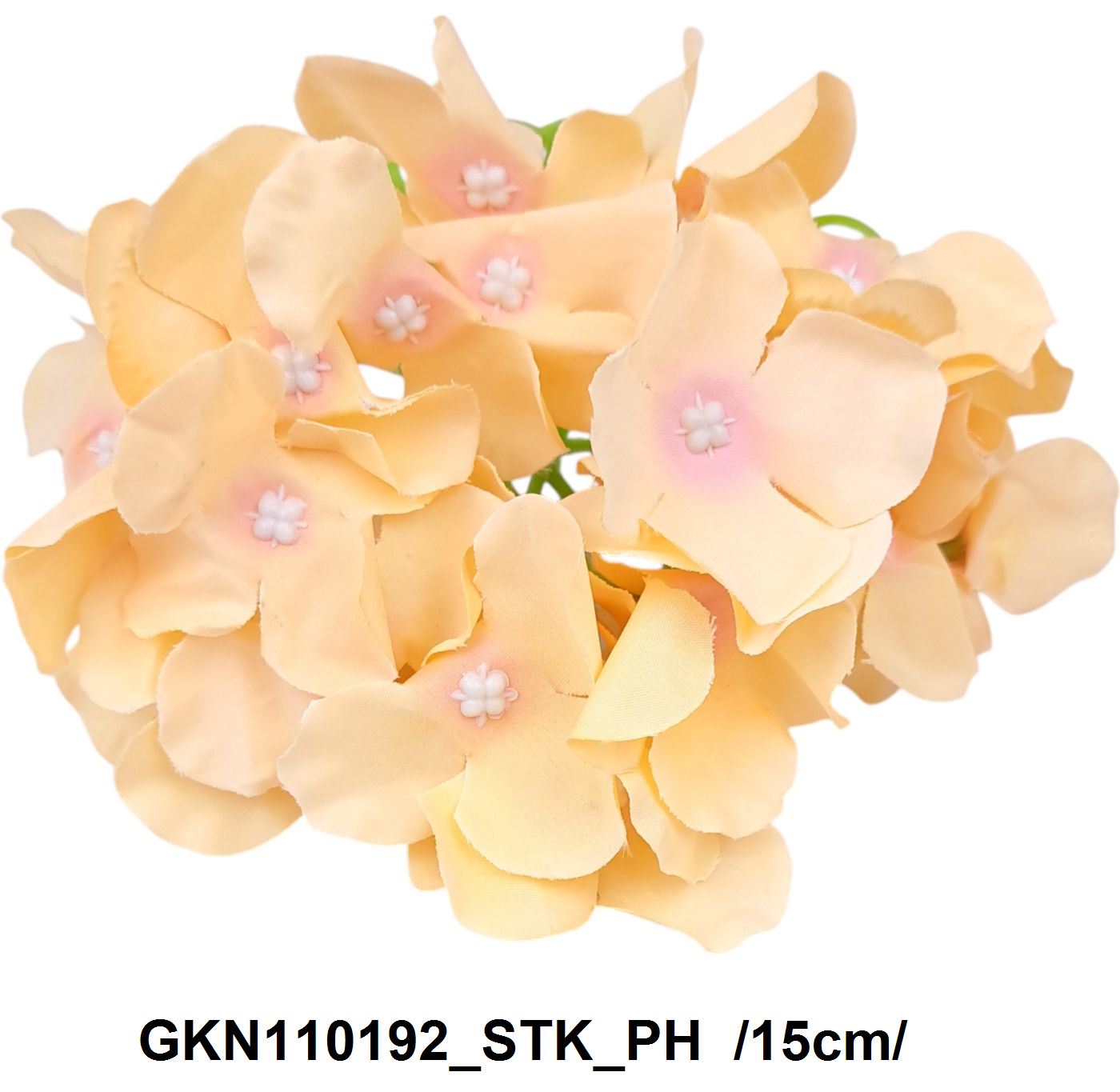 GKN110192_STK_PH