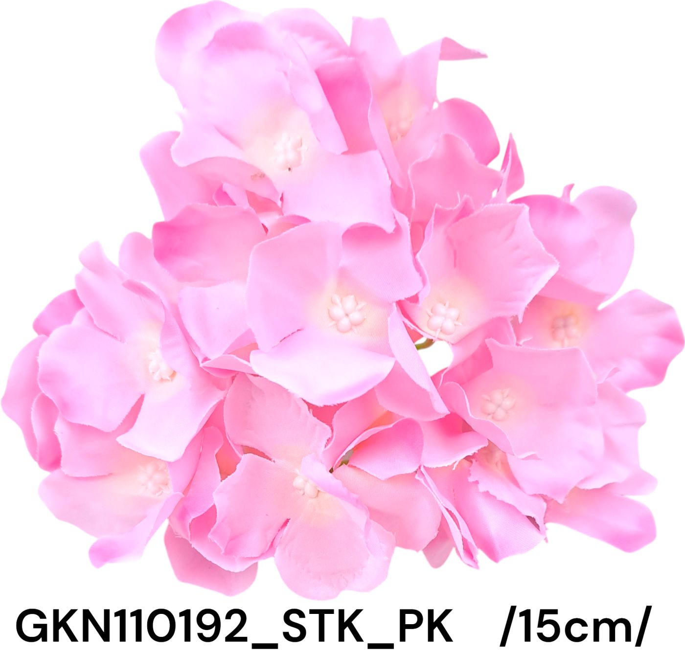 GKN110192_STK_PK