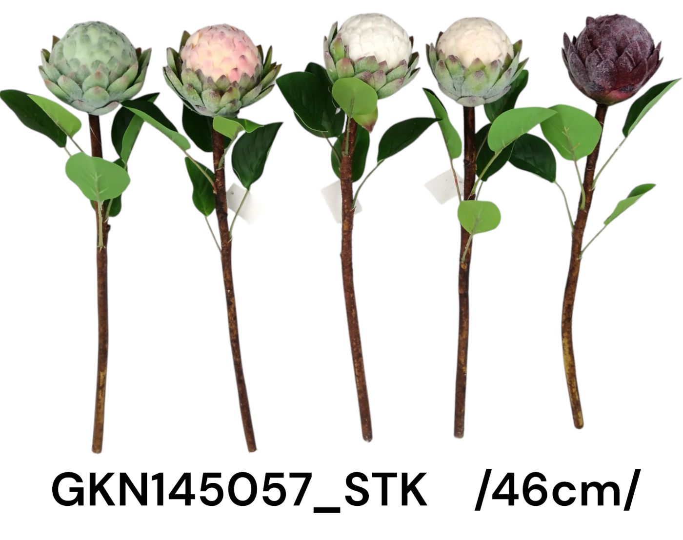 Flokkolt fejû szálas protea, levelekkel /46cm/ Fő kép