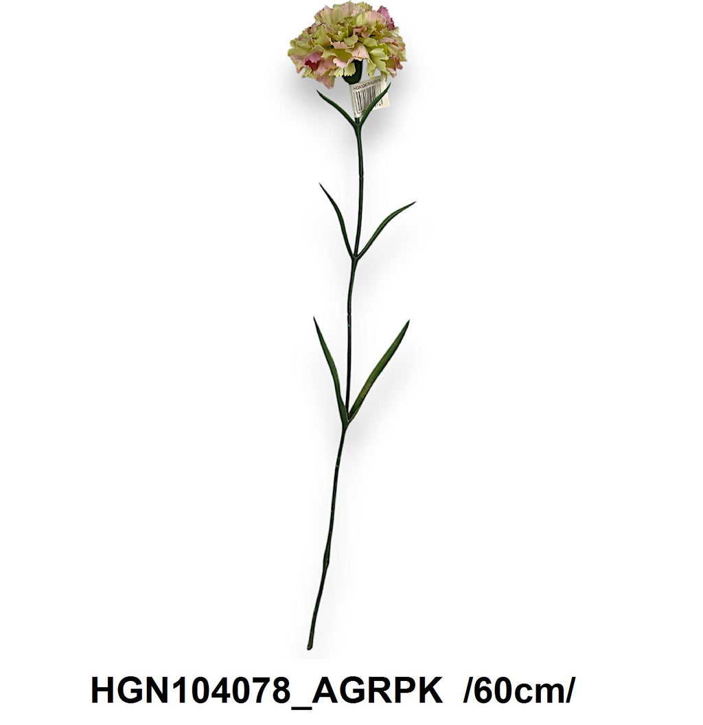 HGN104078_AGRPK