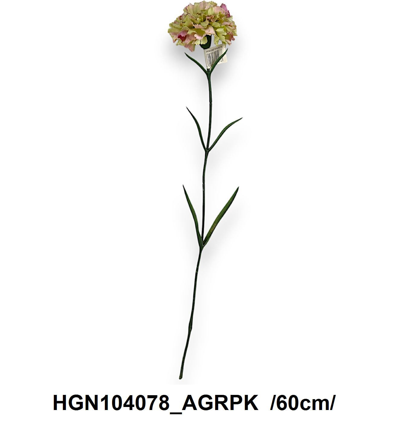 HGN104078_AGRPK