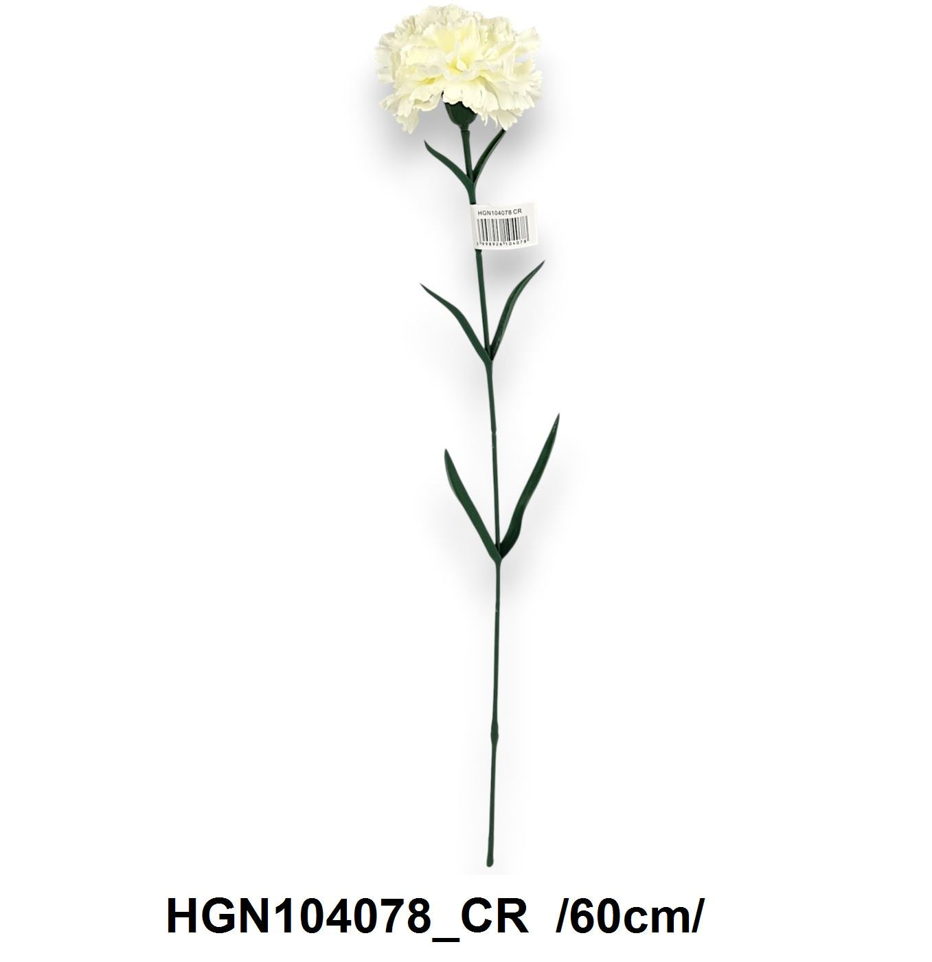 HGN104078_CR