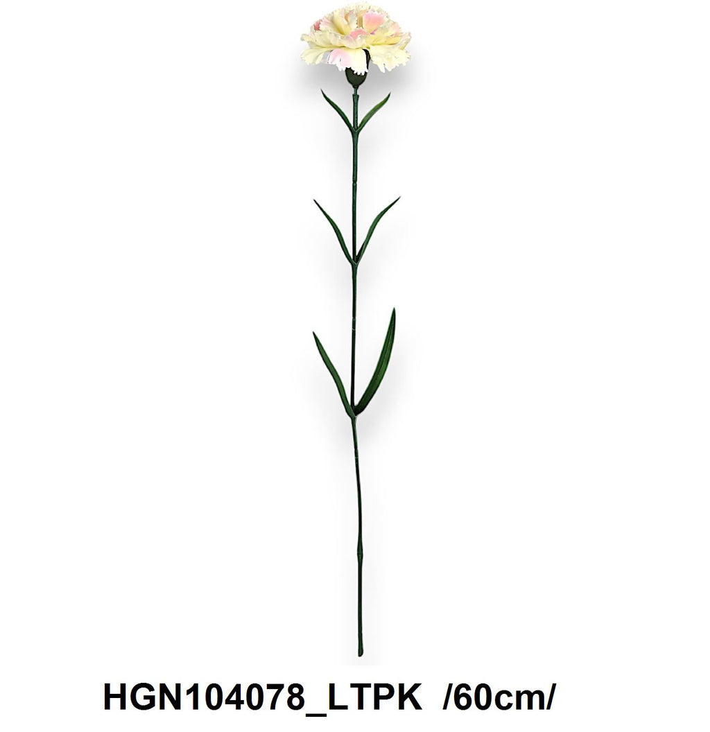 HGN104078_LTPK