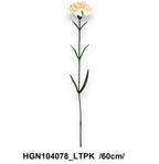 HGN104078_LTPK