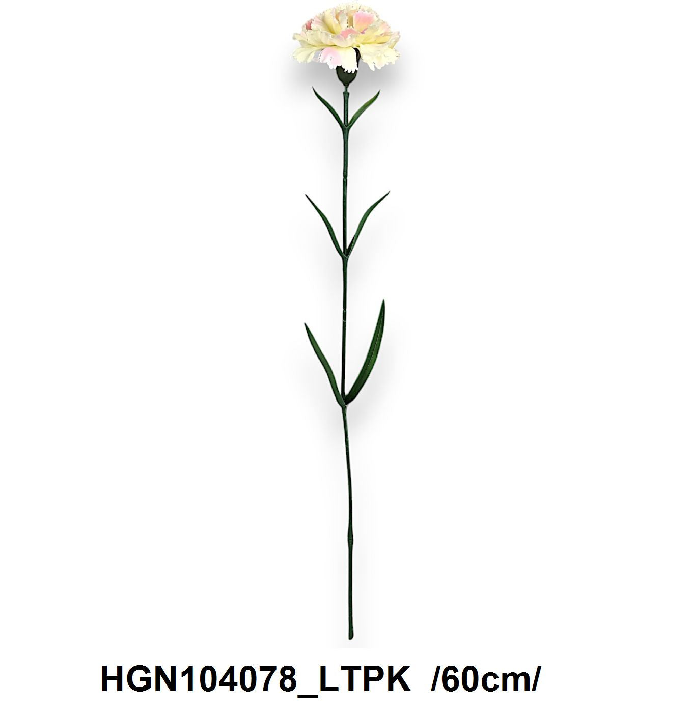 HGN104078_LTPK
