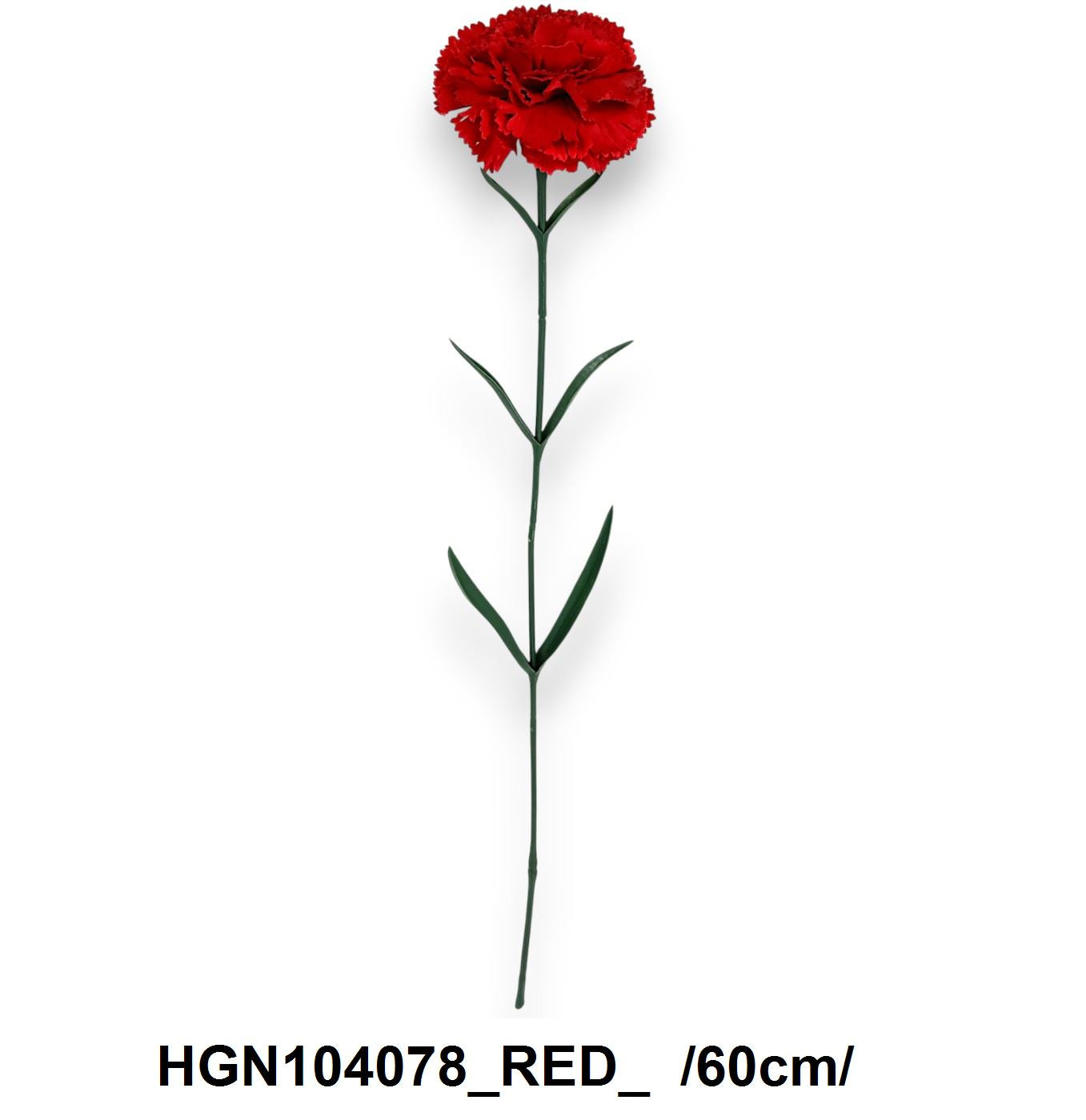 HGN104078_RED_
