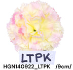 HGN140922_LTPK