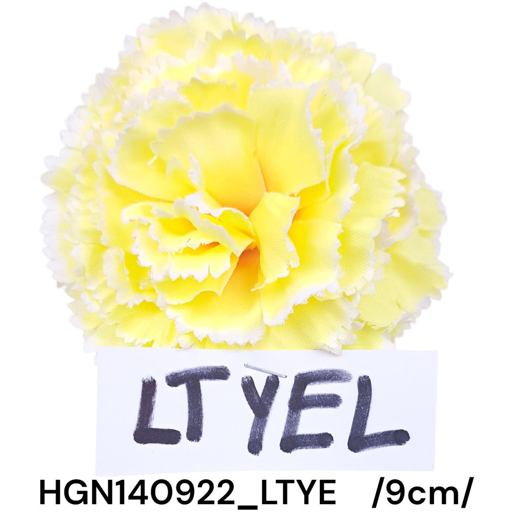 HGN140922_LTYE