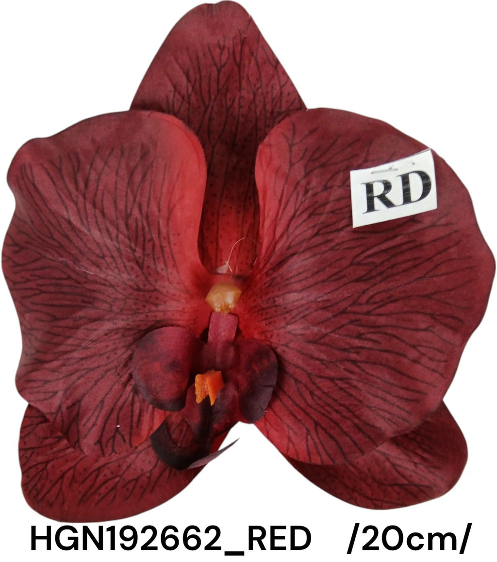 HGN192662_RED