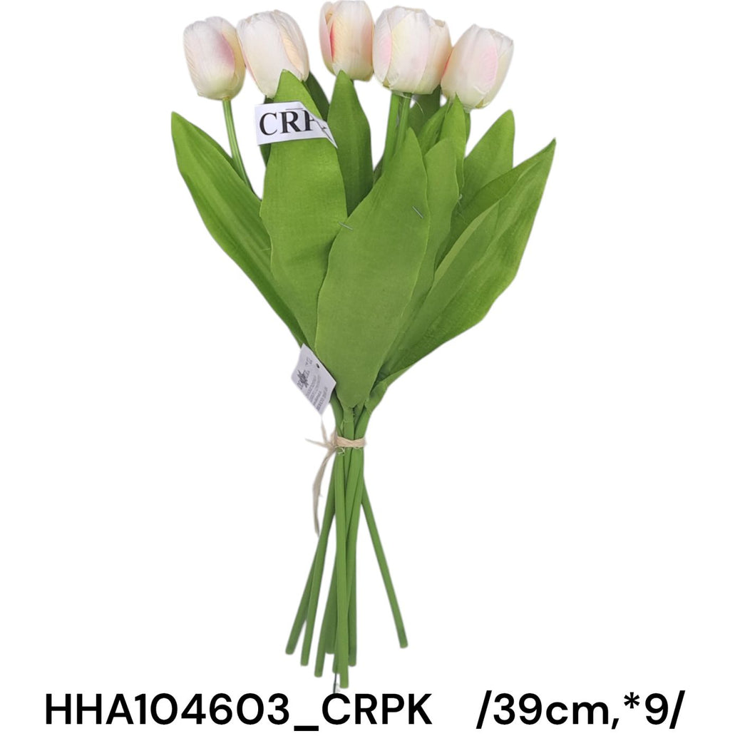 HHA104603_CRPK