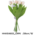 HHA104603_CRPK