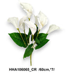 HHA106065_CR