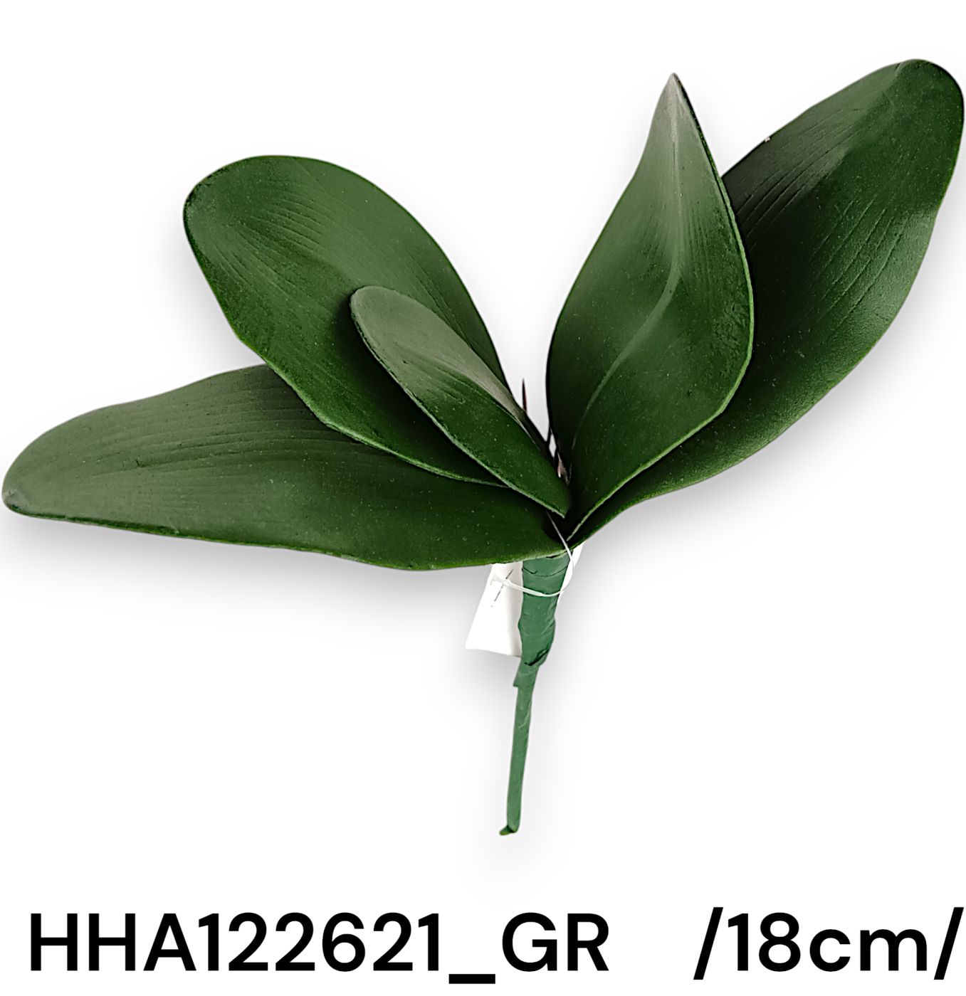HHA122621_GR_