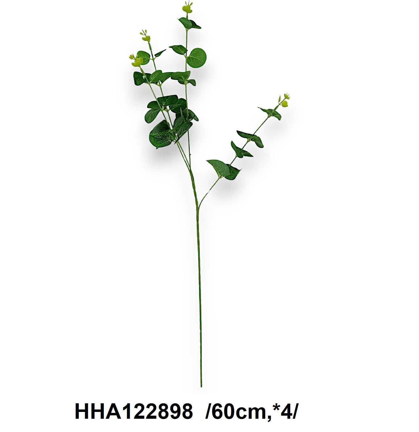 Eukaliptuszág /60cm,*4/ Fő kép